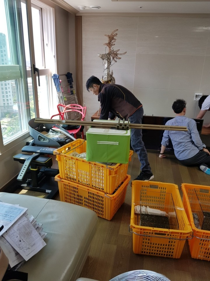 전남광주 포장이사 거실 이삿짐 포장 - 가구와 생활용품을 안전하게 정리·포장하는 현장